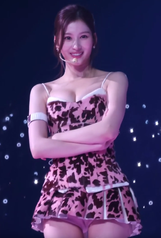 팬들이 차마 똑바로 쳐다보지 못했다는 사나 직캠(영상)