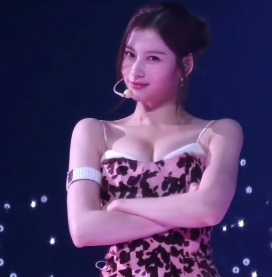 팬들이 차마 똑바로 쳐다보지 못했다는 사나 직캠(영상)