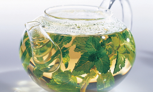 Close-up of basil leaves in a glass teapot