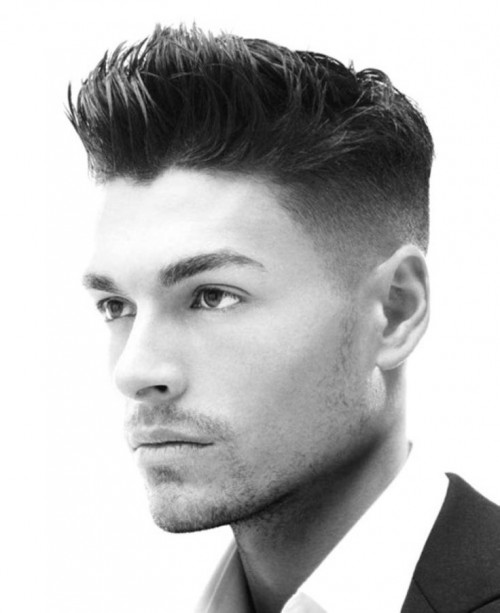 Hipster-Hairstyles-Fade-500x613