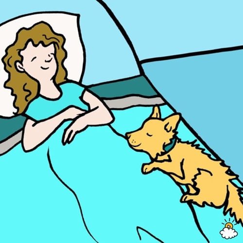 embeddedIMG_SurprisingWaysThatOwningADogIsGoodForYourHealth_850px_11-600x600