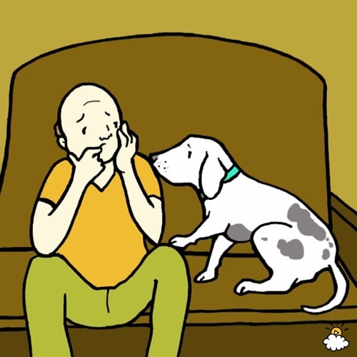 embeddedIMG_SurprisingWaysThatOwningADogIsGoodForYourHealth_850px_3-600x600 (1)