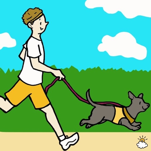 embeddedIMG_SurprisingWaysThatOwningADogIsGoodForYourHealth_850px_4-600x600