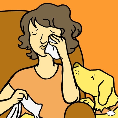 embeddedIMG_SurprisingWaysThatOwningADogIsGoodForYourHealth_850px_7-600x600