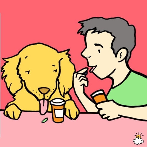 embeddedIMG_SurprisingWaysThatOwningADogIsGoodForYourHealth_850px_9-600x600