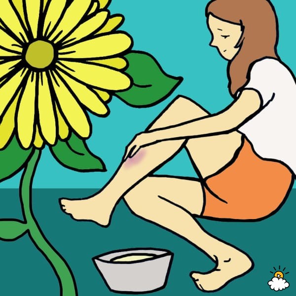 calendula-to-heal-bruises-600x600