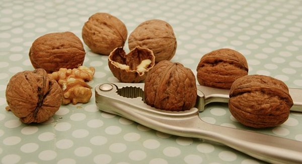 walnuts-1891141__340