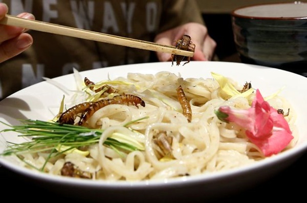 A-customer-eats-an-Insect-tsukemen-ramen-noodle-topped-with-fried-worms-and-crickets-at-Ramen-Nag