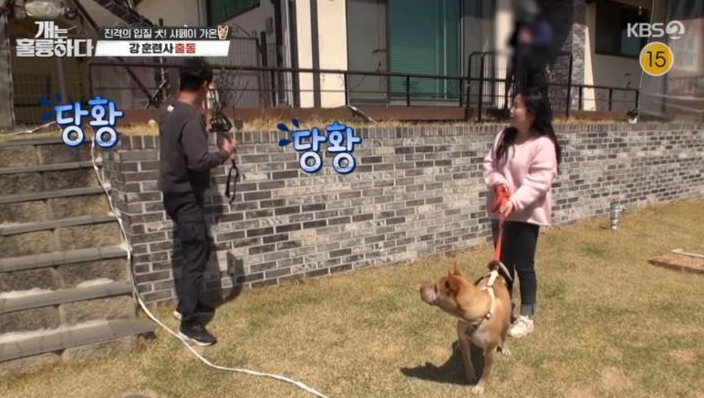 반려견 훈련 전문가 강형욱이 ‘개는 훌륭하다’ 촬영 중 견주의 황당한 태도 때문에 분노를 금치 못했다.
지난달 4월 25일 방송된 KBS2 예능 ‘개는 훌륭하다(개훌륭)’에서는 샤페이 가온의 보호자 부부가 �