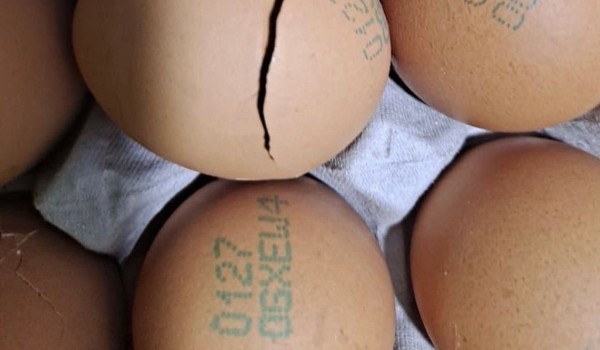 쿠팡 블랙컨슈머 정책 회원 자격제한 논란 달걀 깨짐 반품