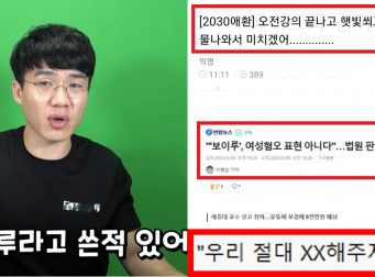 보겸 '보이루' 법원 판결 윤지선 패배 여성시대 회원들 출산률 언급한 댓글 수준 (캡처)