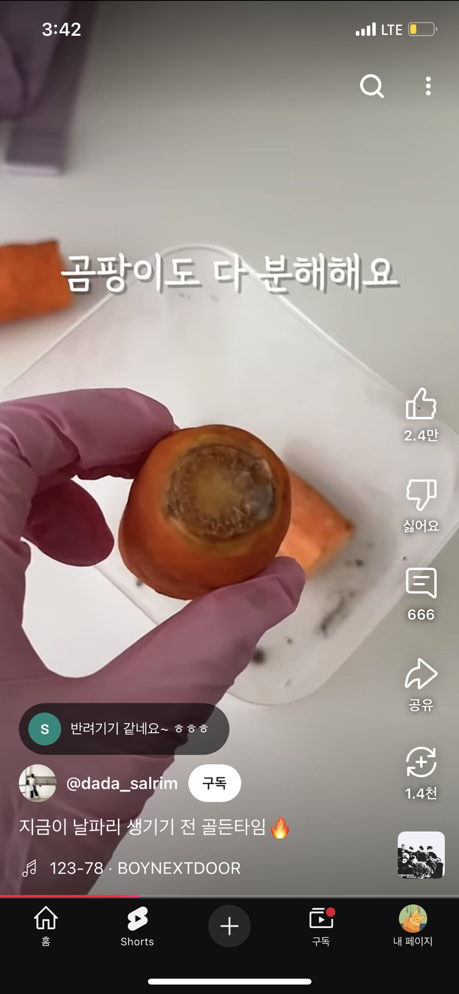 음식물처리기 최대 단점(반려생물)