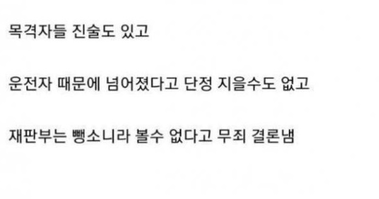 넘어진 사람 도와줬더니 뺑소니 신고당한 남자