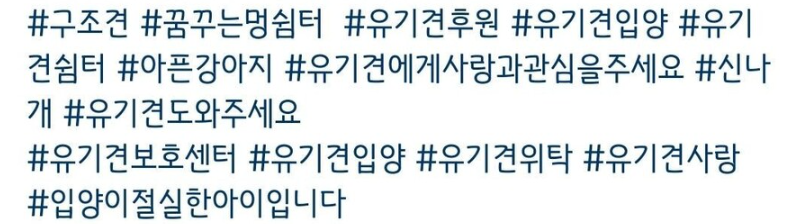 넘어진 사람 도와줬더니 뺑소니 신고당한 남자