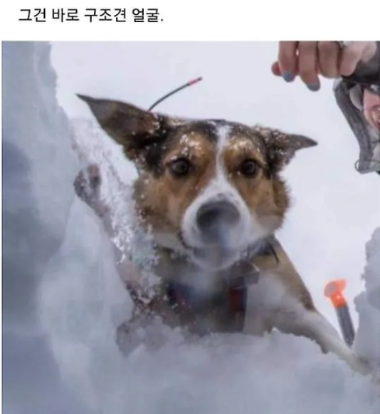 조난당한 사람이 몇일동안 혼자 있다가 평생 잊지 못한다는 얼굴