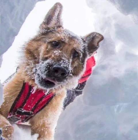 조난당한 사람이 몇일동안 혼자 있다가 평생 잊지 못한다는 얼굴