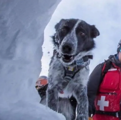 조난당한 사람이 몇일동안 혼자 있다가 평생 잊지 못한다는 얼굴