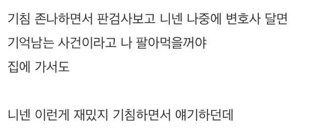 디시인이 재판 방청객 하다가 제일 기억남는 썰