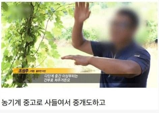 15년째 도주 중이라는 지명수배자