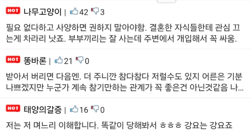 논란중인 며느리가 시엄마한테 보낸 문자